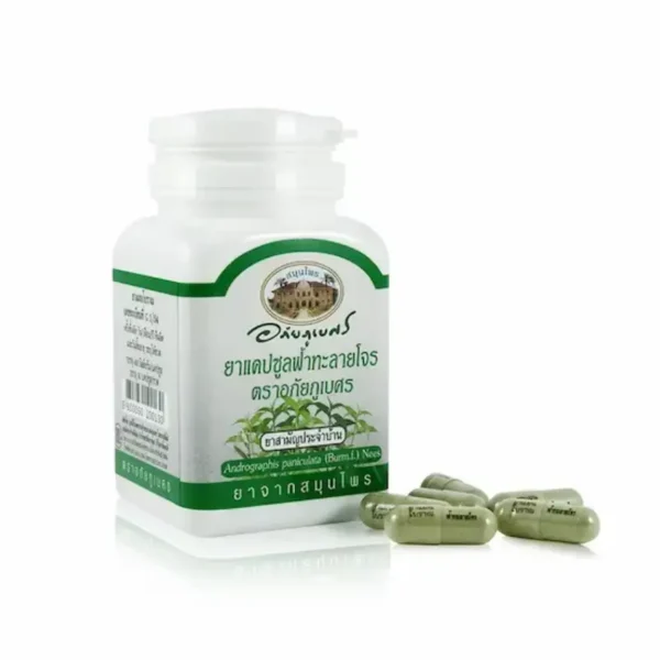 ABHAIBHUBEJHR Andrographis Paniculata Capsules (60 capsules)